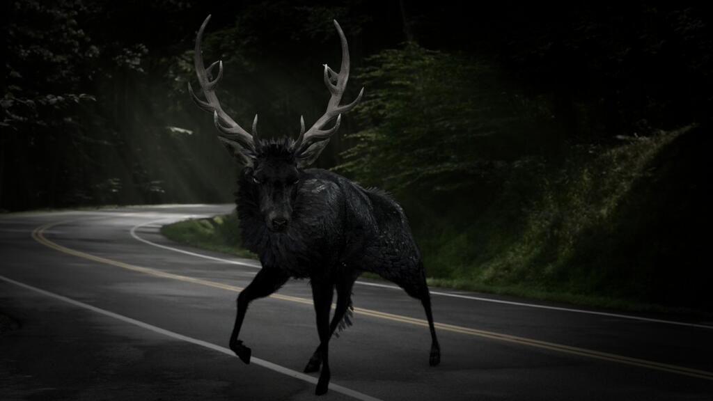 hannibal_stag